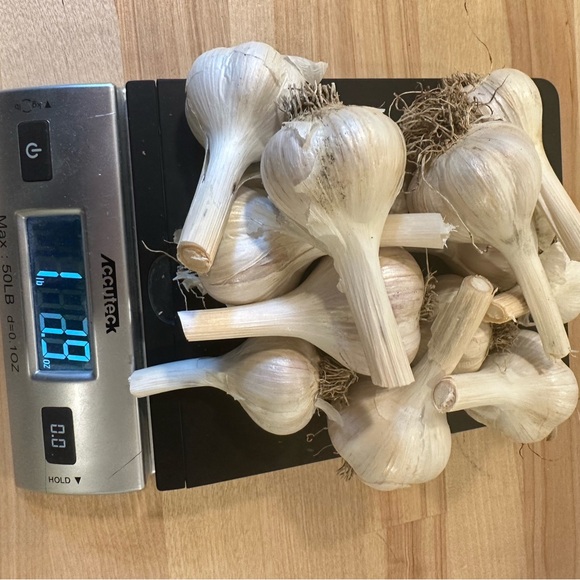 Garlic from The Farm: San Juan Island - Picture 7 of 14